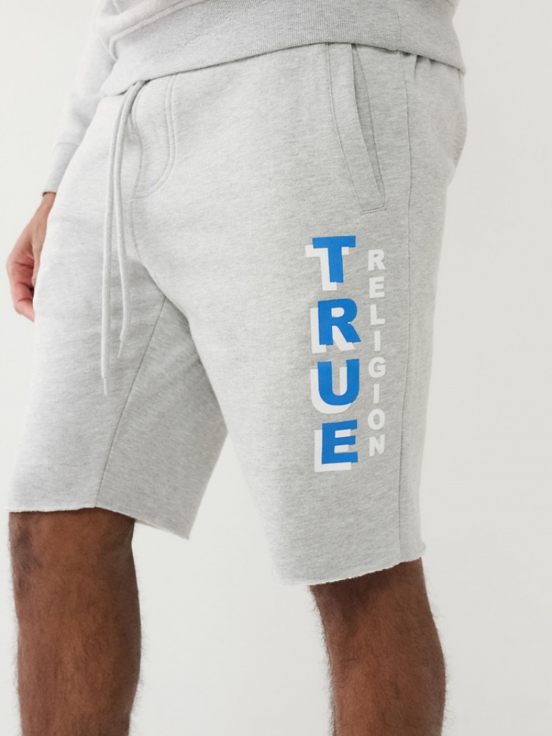 Sweat a Capuche True Religion Flocked True Logo Fleece Raw Hem Corta Homme Blanche Bleu | EON-42236428