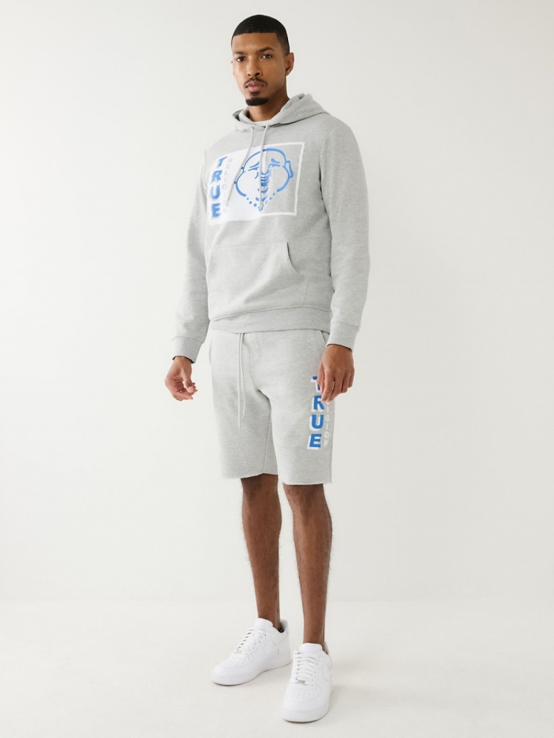 Sweat a Capuche True Religion Flocked True Logo Fleece Raw Hem Corta Homme Blanche Bleu | EON-42236428