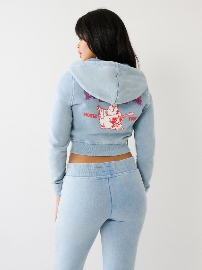 Sweat a Capuche True Religion Washed Big T Logo Crop Femme Kaki | YVB-26072799